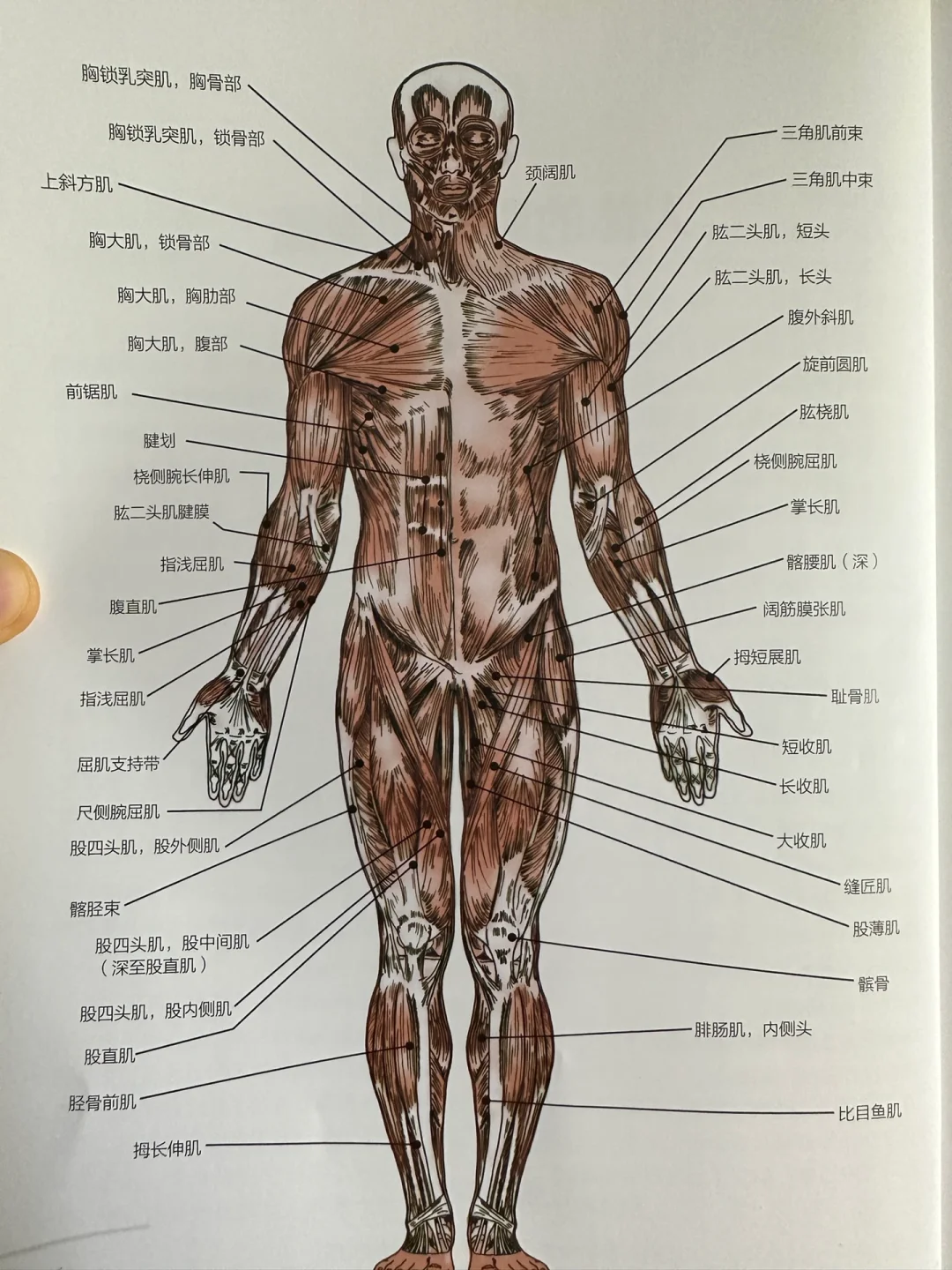 听我一句劝，当你想健身之前，你该先知道这点