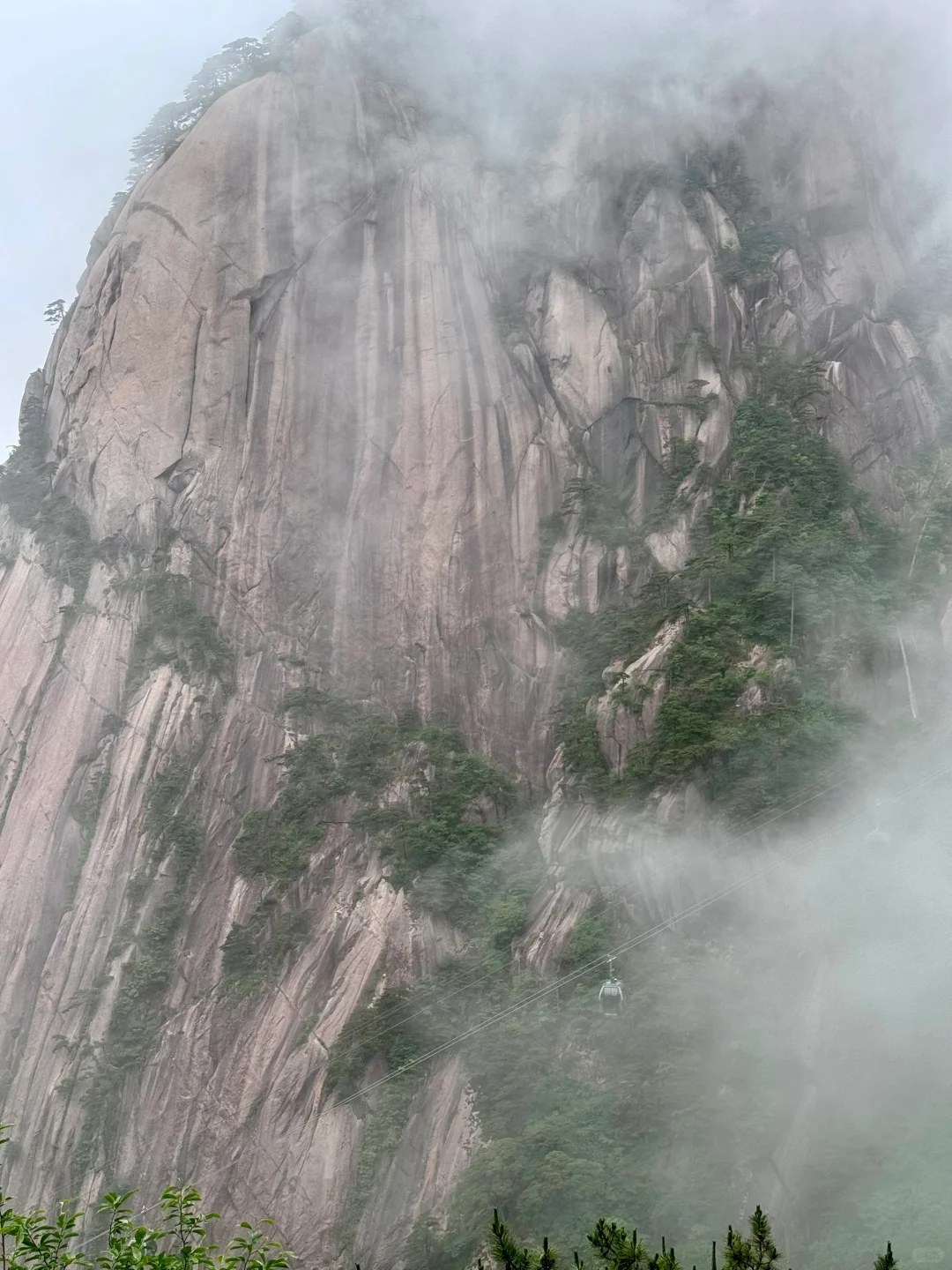 烟雨黄山不一样的美感～