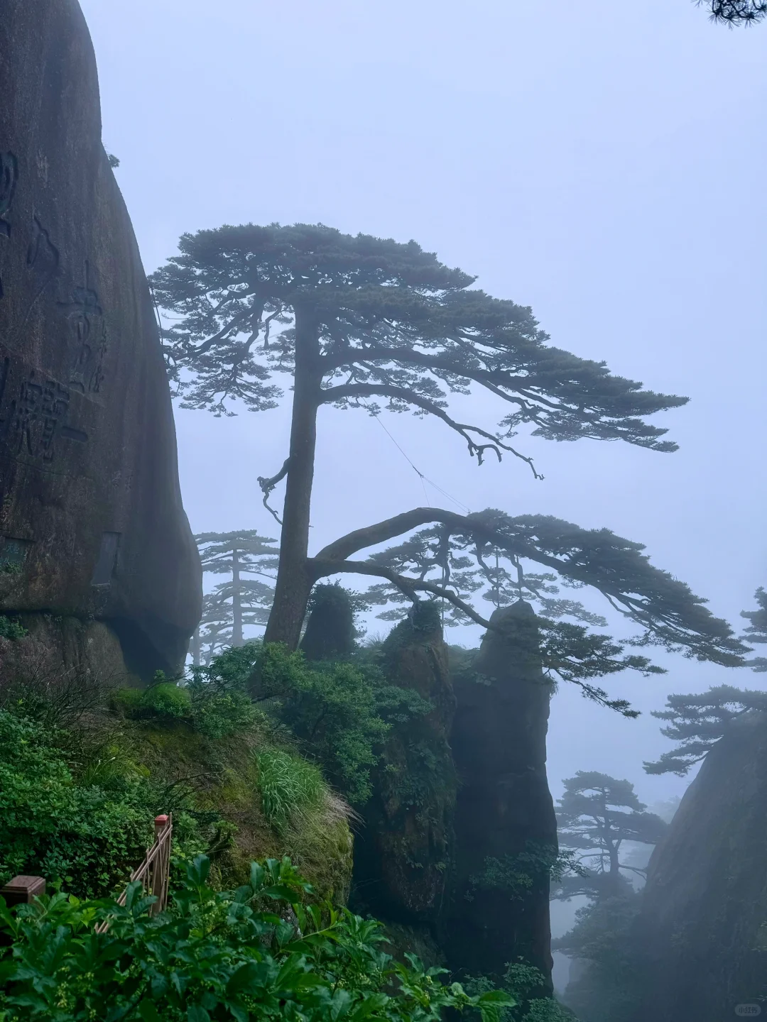 烟雨黄山不一样的美感～