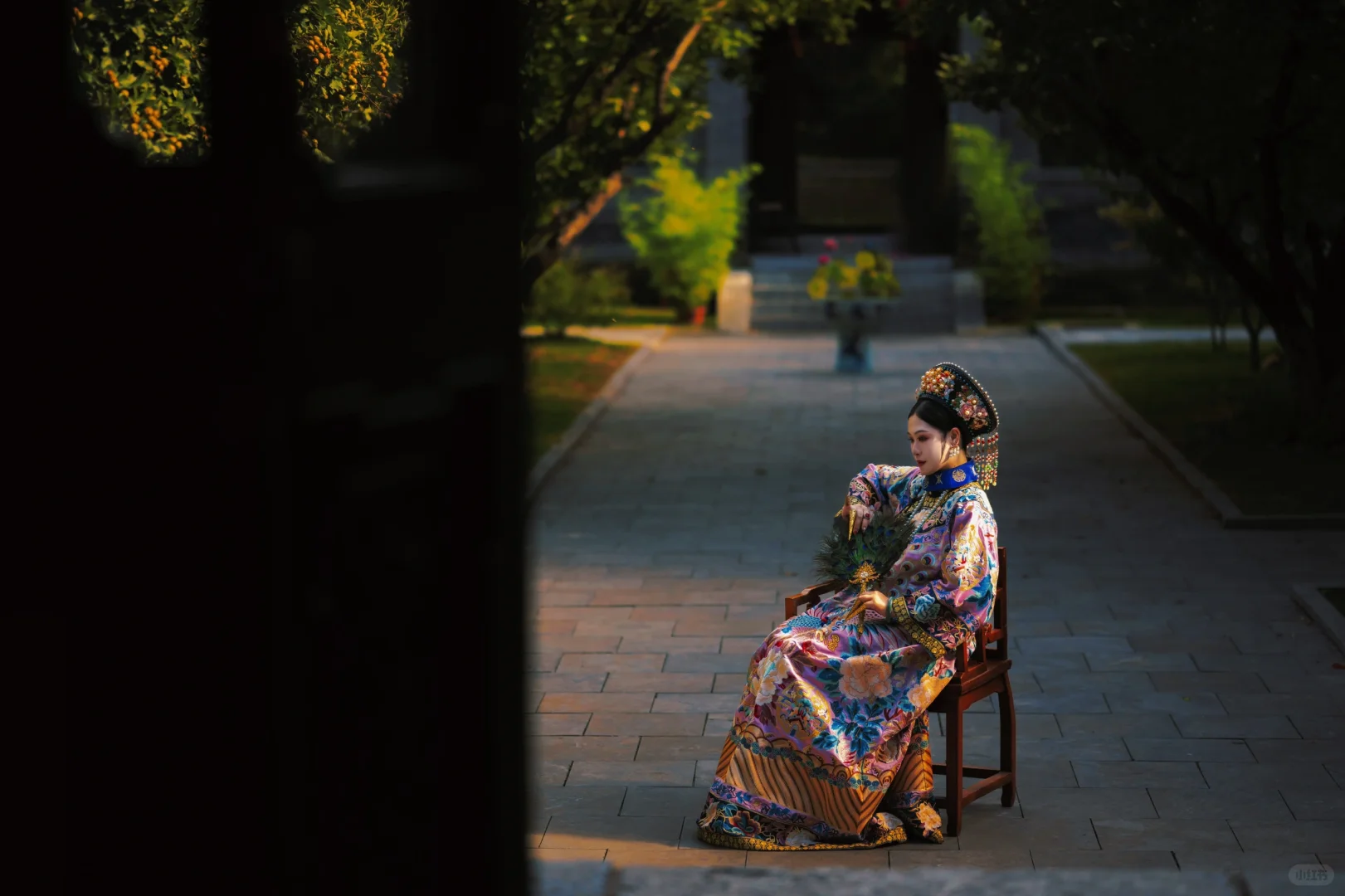 写真｜粉色娇嫩 你如今几岁了?