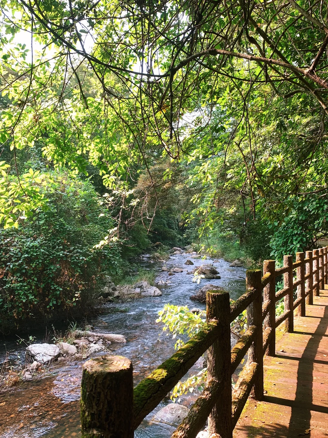 微胖?｜天然氧吧⛰️