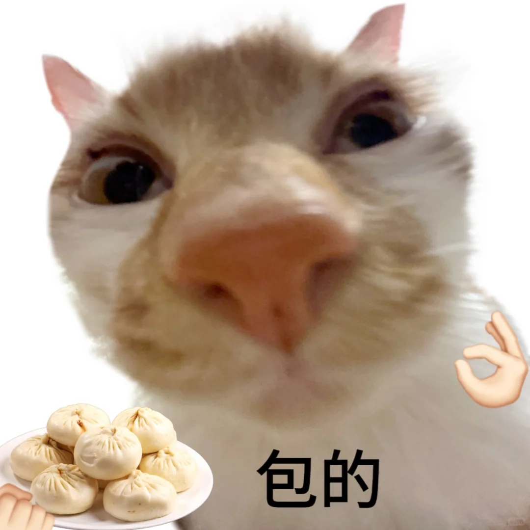 太好了是小猫表情包，我们有救了！