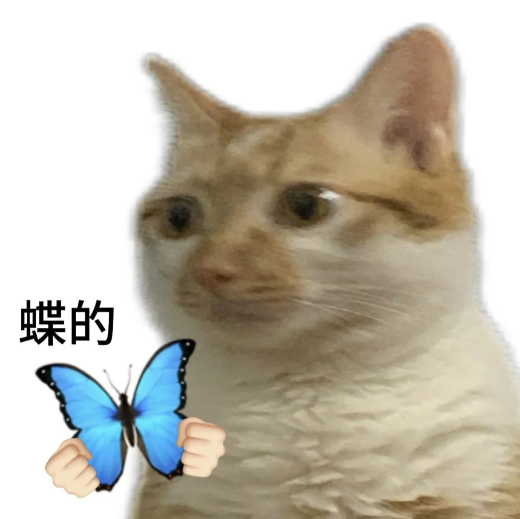 太好了是小猫表情包，我们有救了！