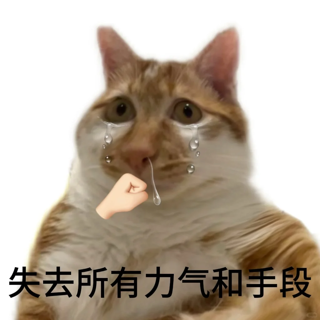 太好了是小猫表情包，我们有救了！