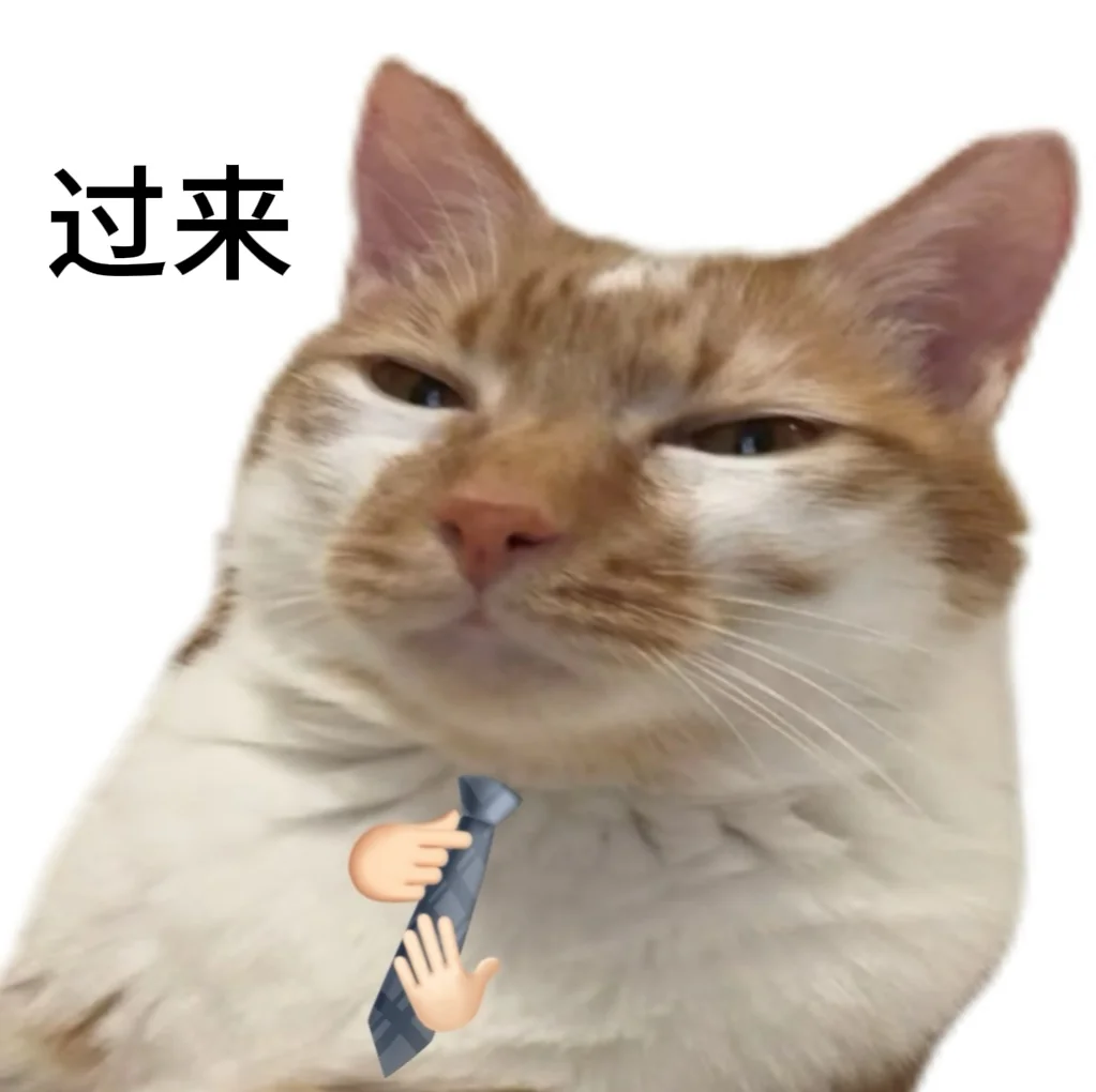 太好了是小猫表情包，我们有救了！