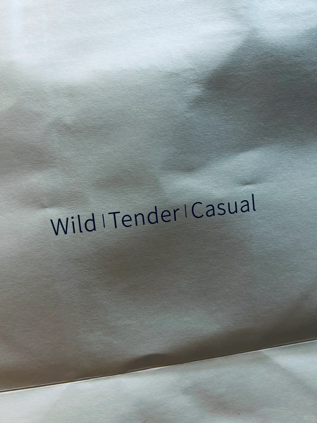 Wild｜Tender｜Casual 姿态与生命力