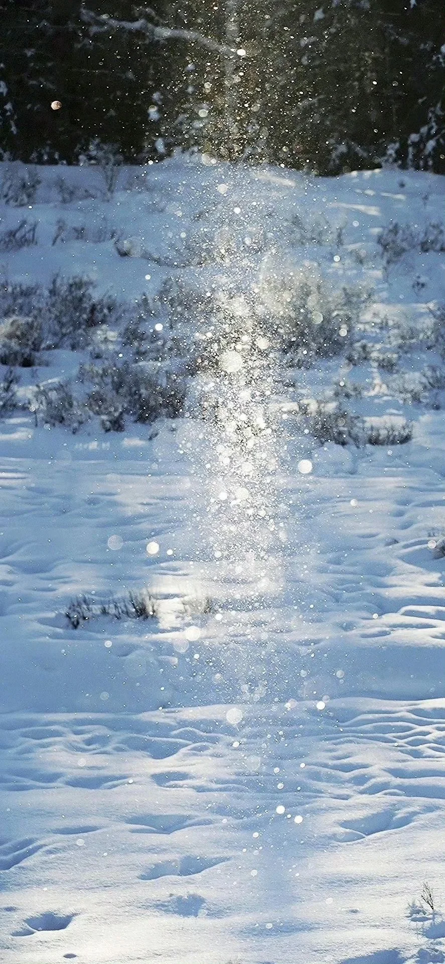 浪漫雪景壁纸｜期待下雪天❄️