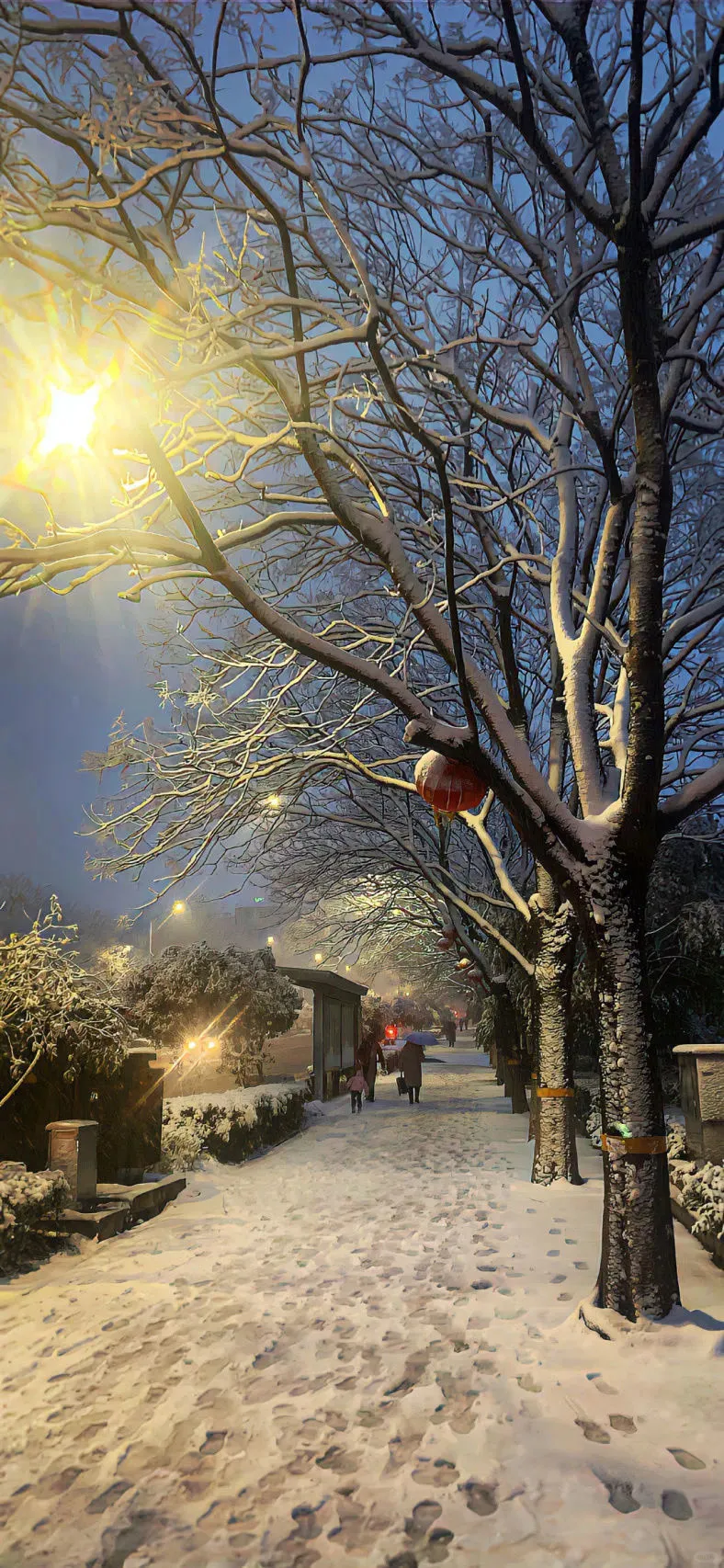 氛围感｜冬日壁纸🧣