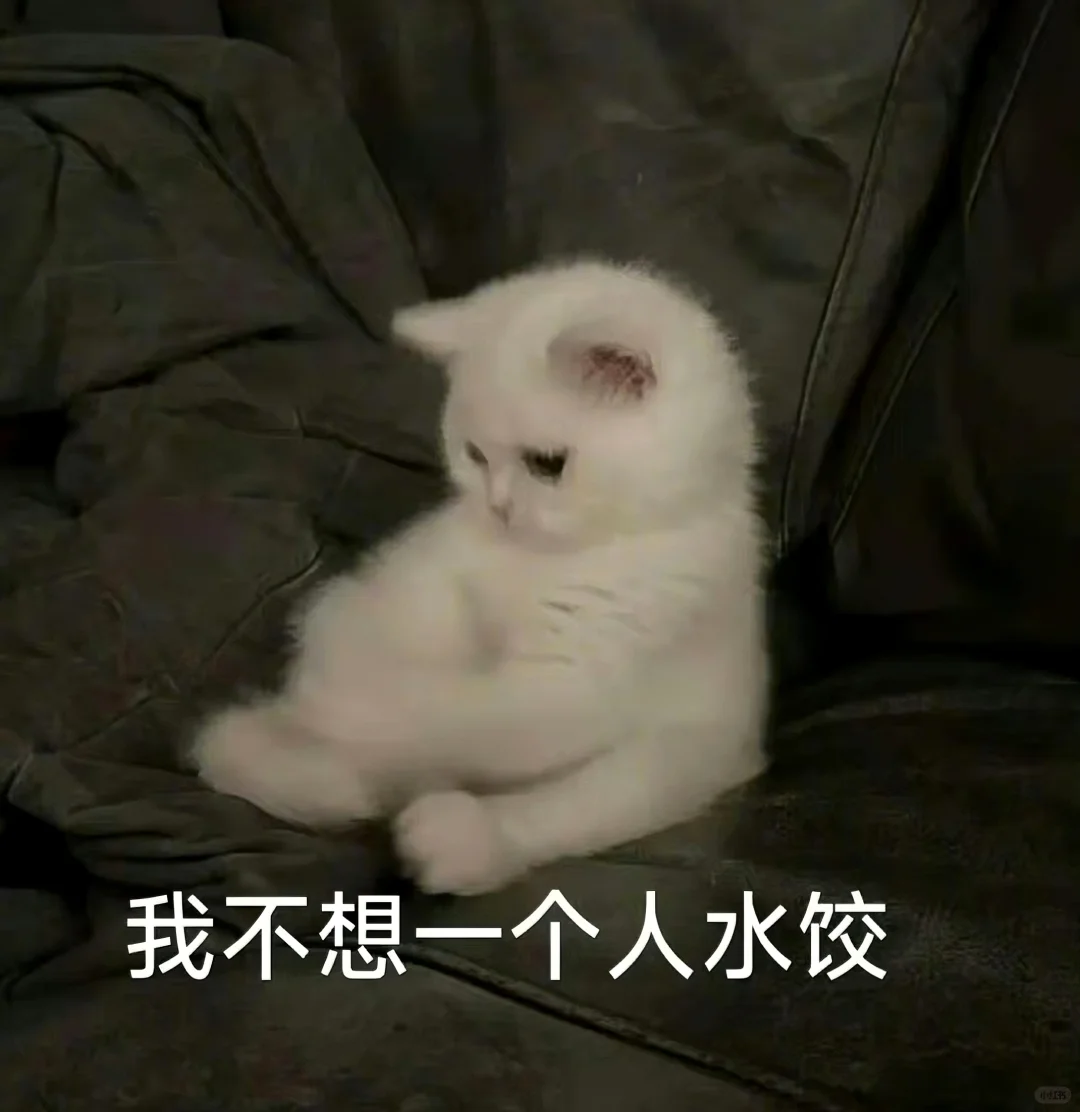 猫meme的那些情绪表达|表情包