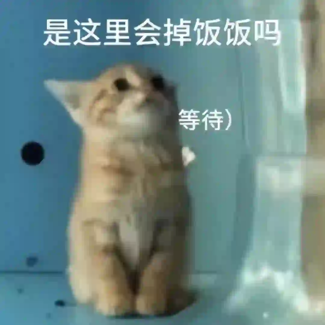 可爱猫猫狗狗的表情包好喜欢啊