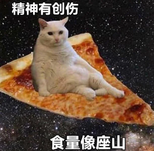 猫咪搞笑表情包第三弹