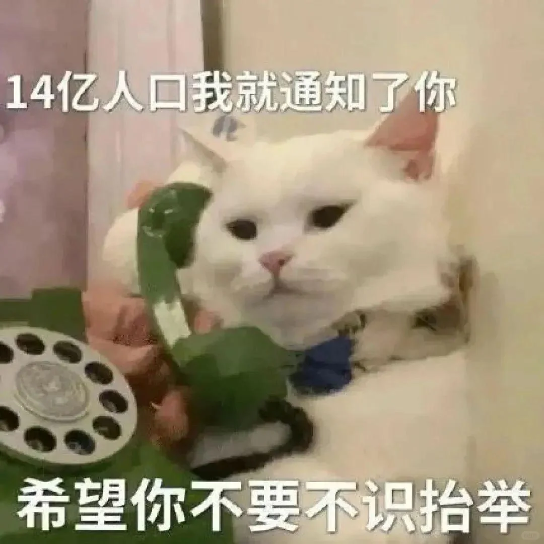 猫咪搞笑表情包第三弹