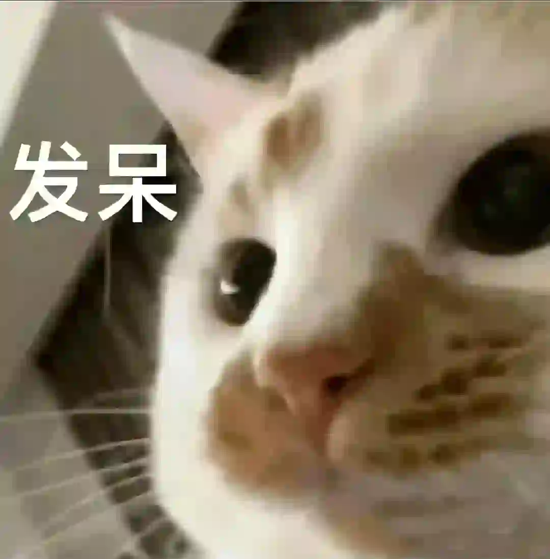 猫meme的那些情绪表达|表情包