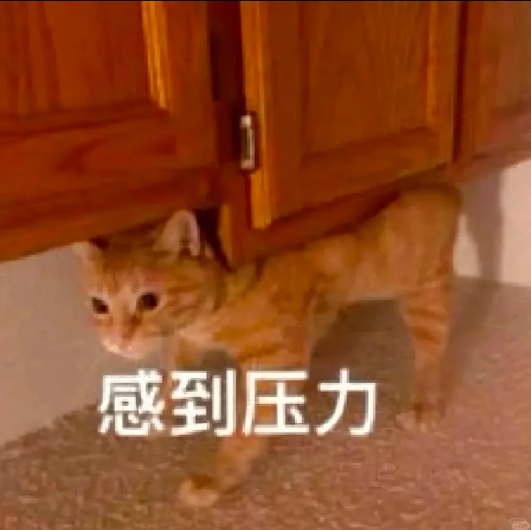 猫meme的那些情绪表达|表情包