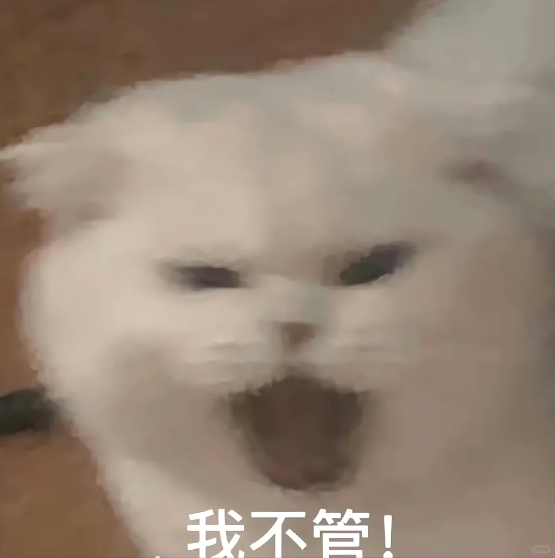 猫meme的那些情绪表达|表情包