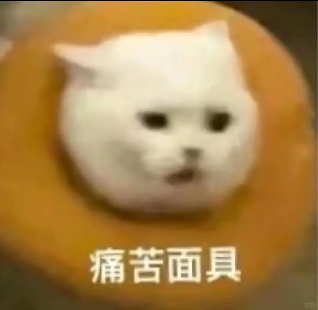 猫meme的那些情绪表达|表情包