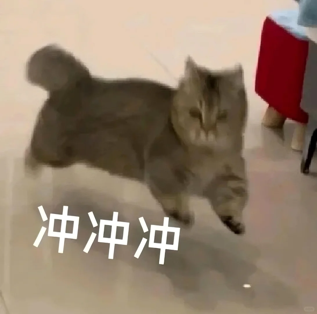 猫meme的那些情绪表达|表情包