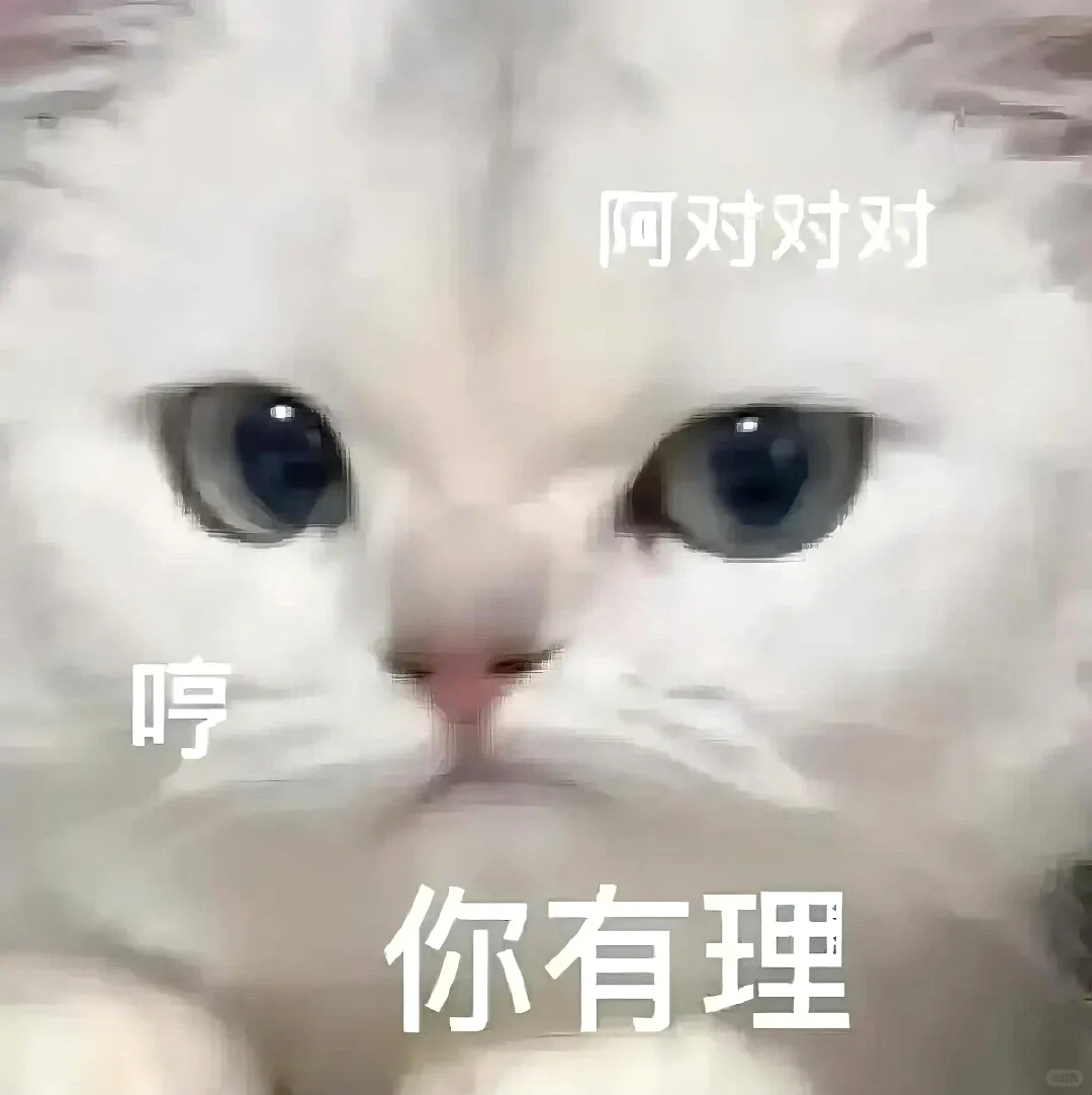 猫meme的那些情绪表达|表情包