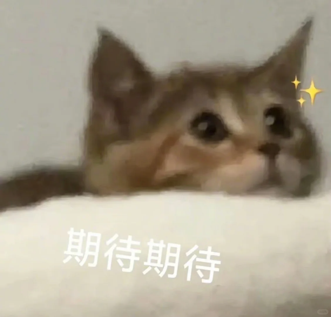 来点低脂小猫表情包 好用爱用?