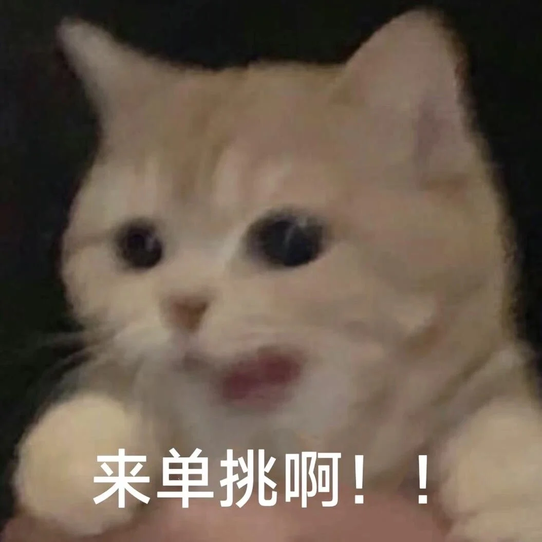 小猫表情包合集