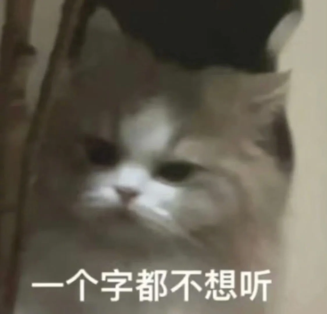 来点低脂小猫表情包 好用爱用🐾