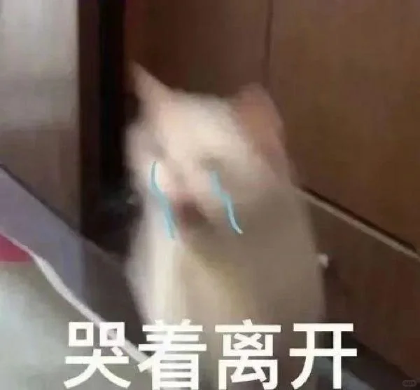 猫咪搞笑表情包第三弹