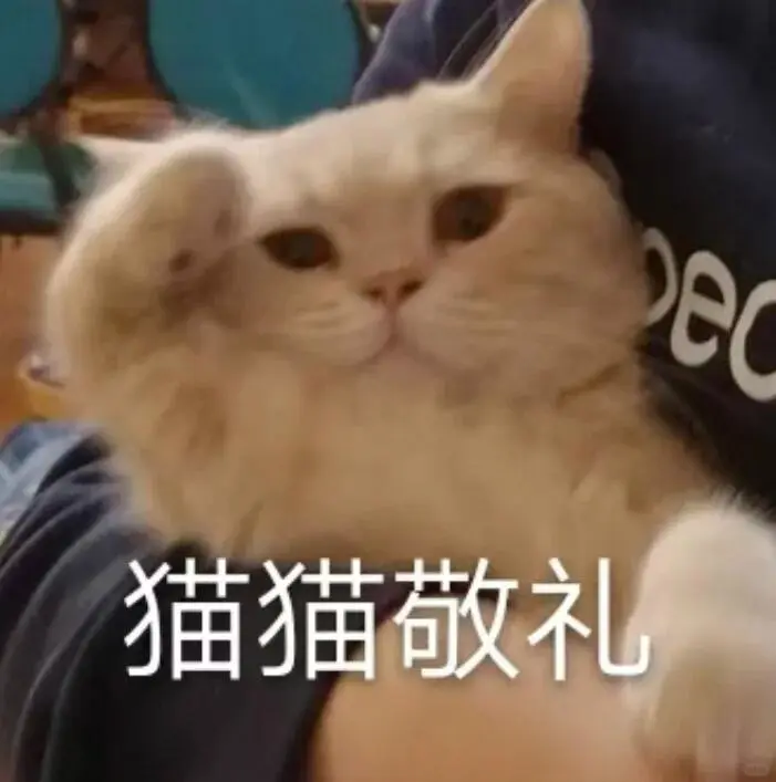 可爱猫猫狗狗的表情包好喜欢啊