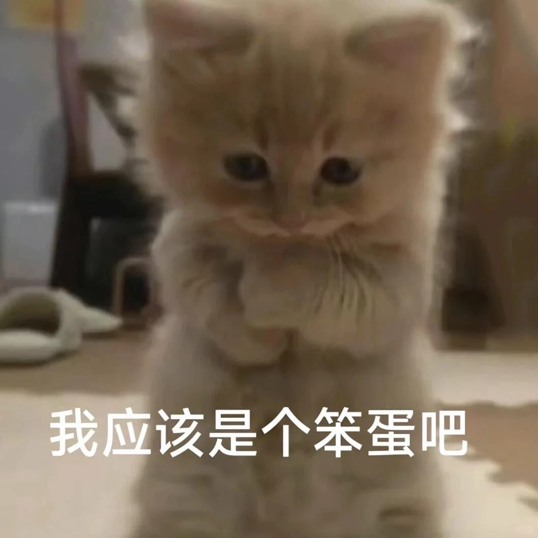 小猫表情包合集