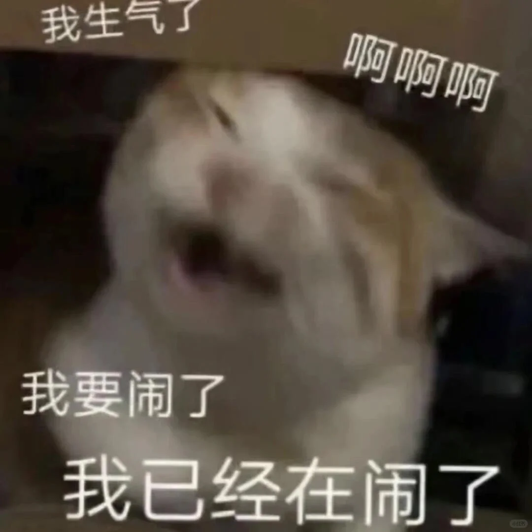 小猫表情包合集