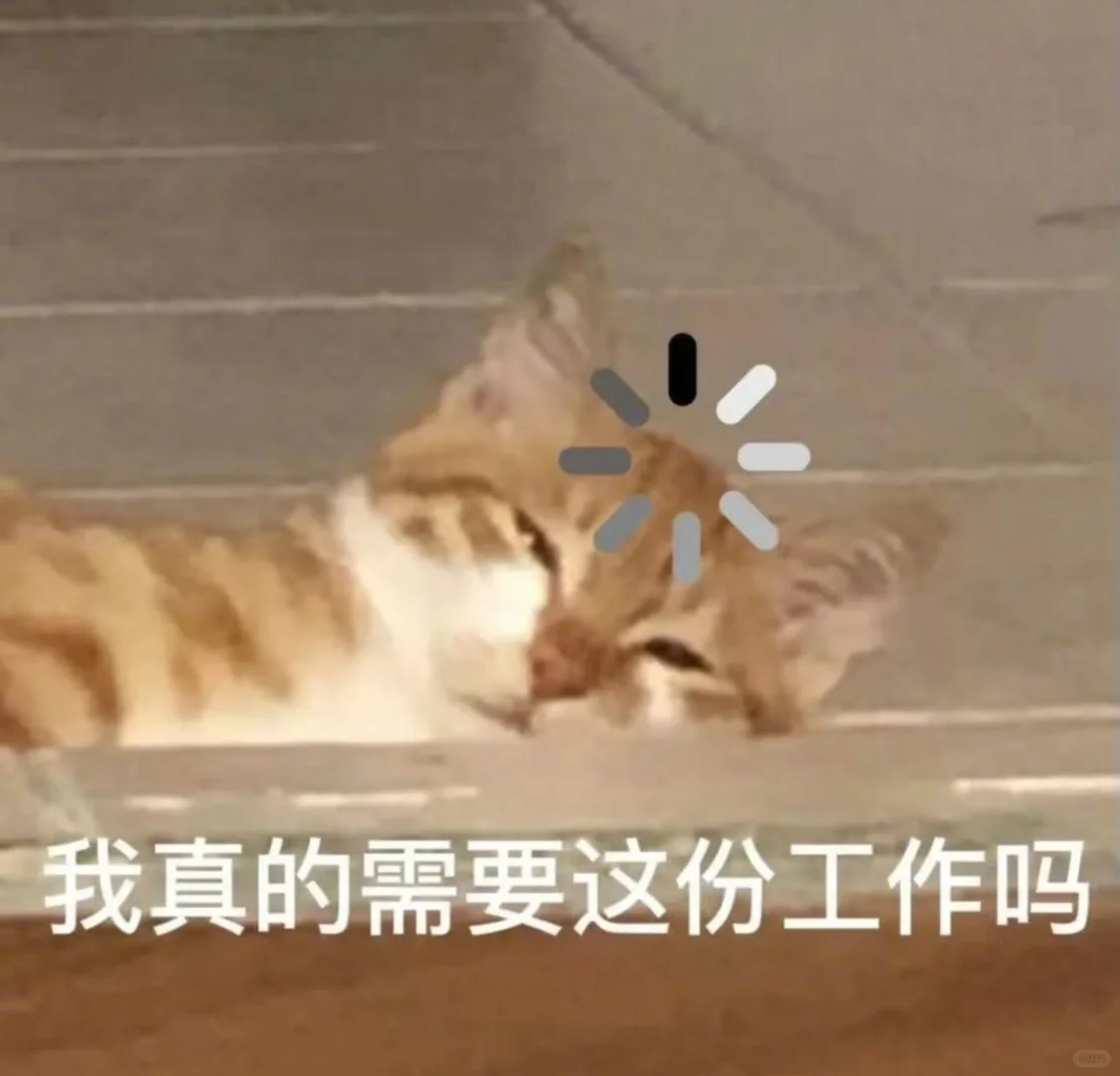 来点低脂小猫表情包 好用爱用?