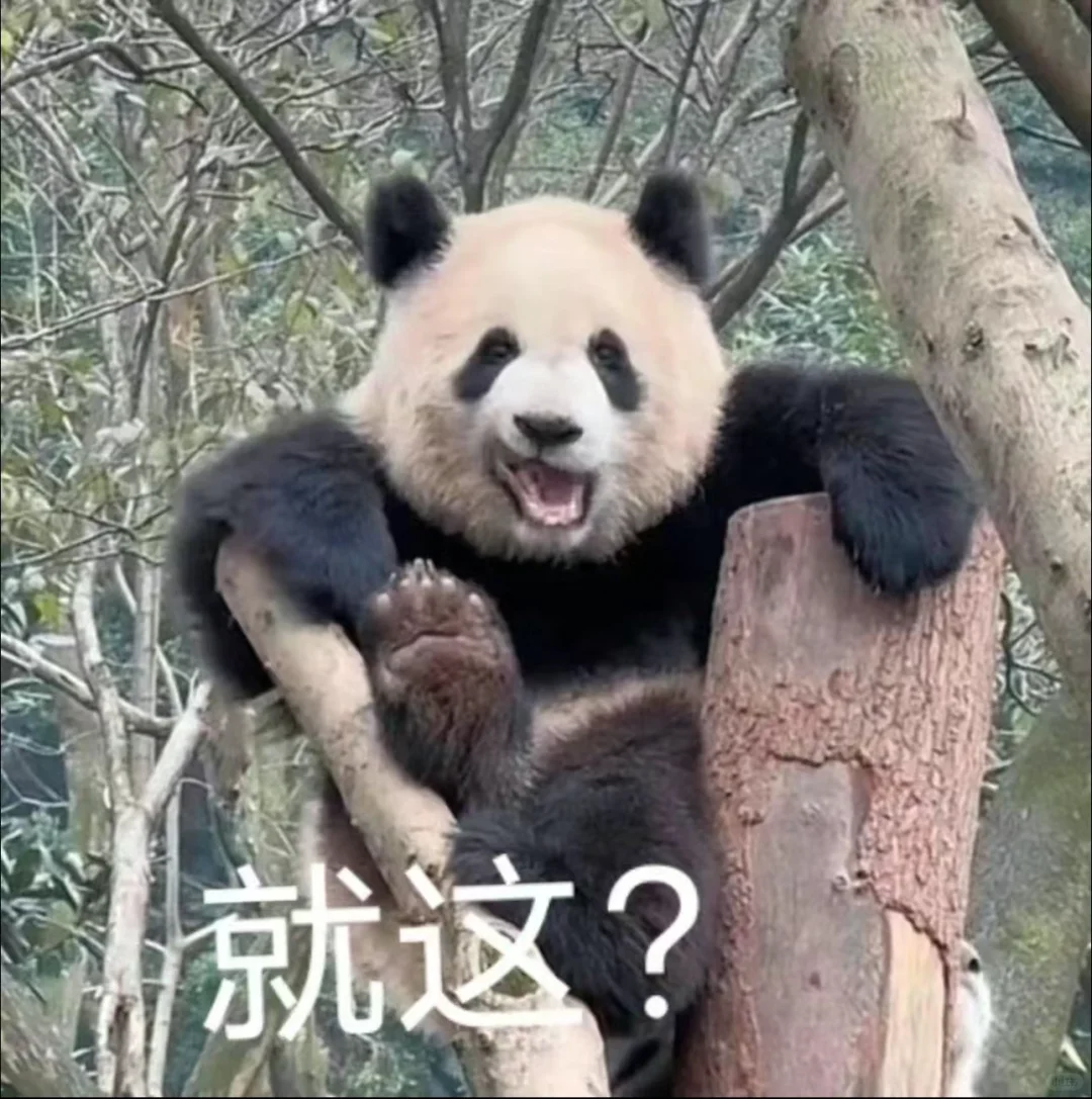 私藏｜圆滚滚大熊猫表情包🐼