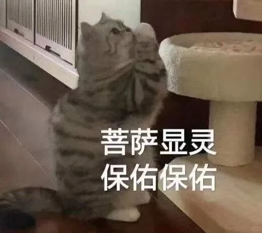 猫咪搞笑表情包第三弹