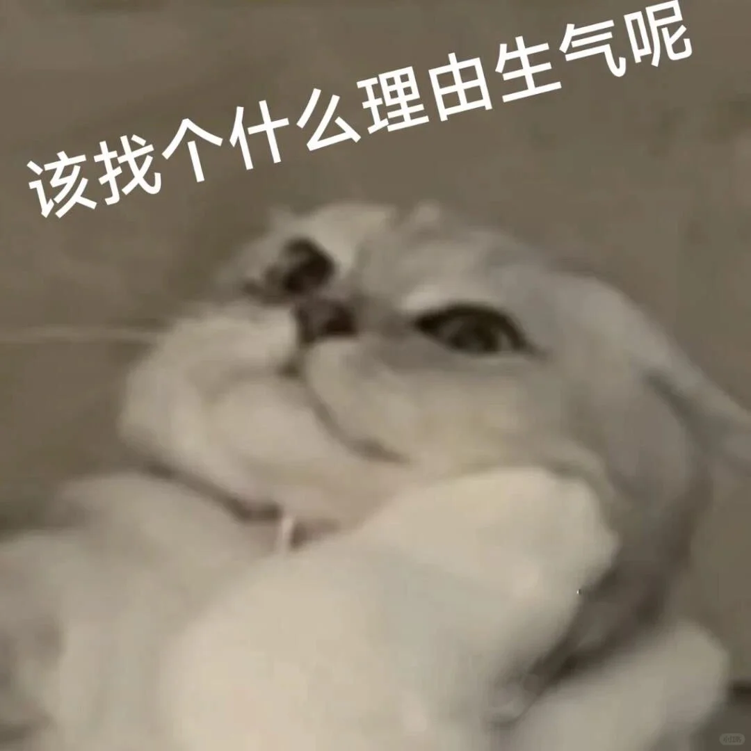 小猫表情包合集