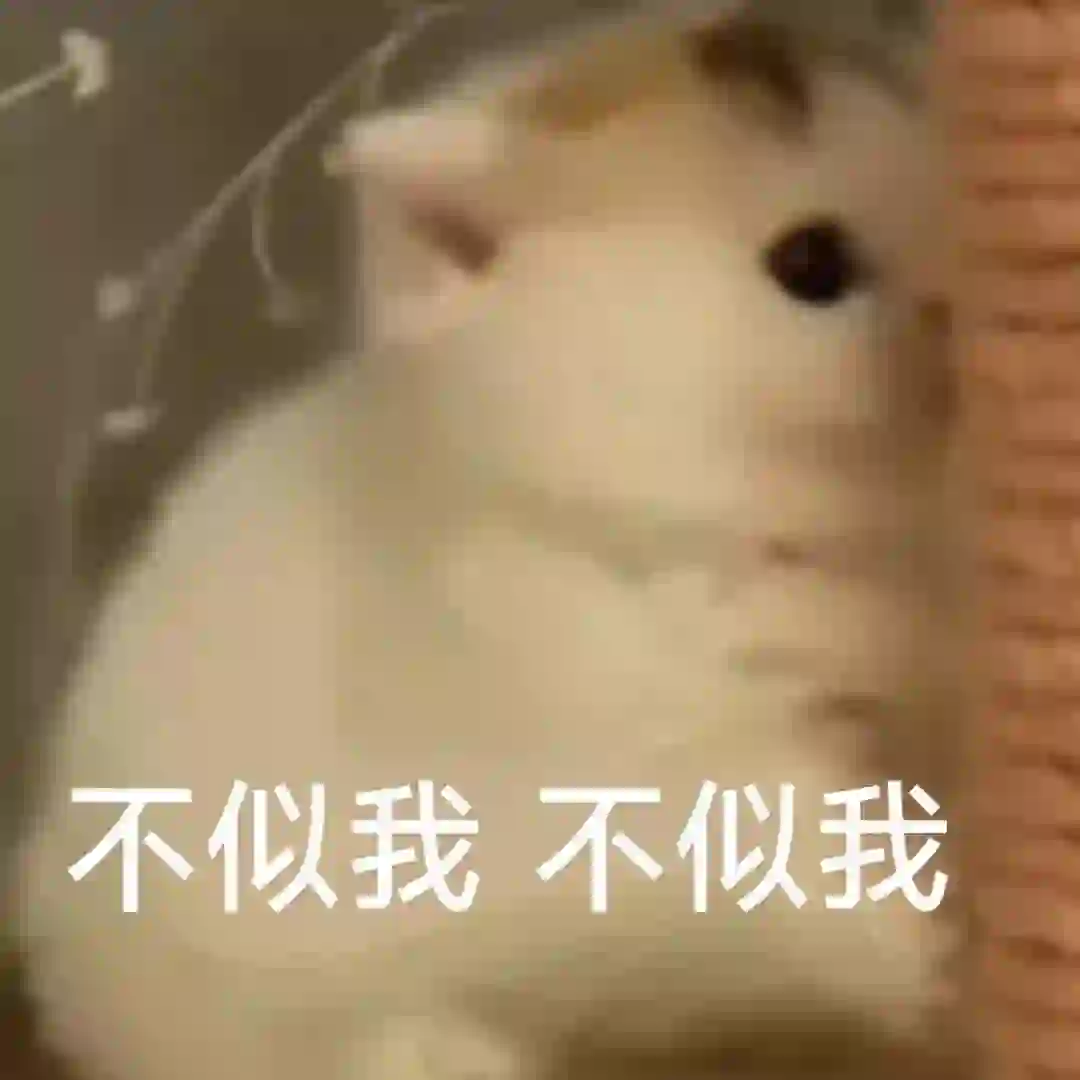 小猫表情包合集