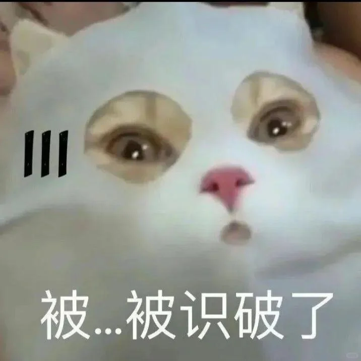 猫咪搞笑表情包第三弹