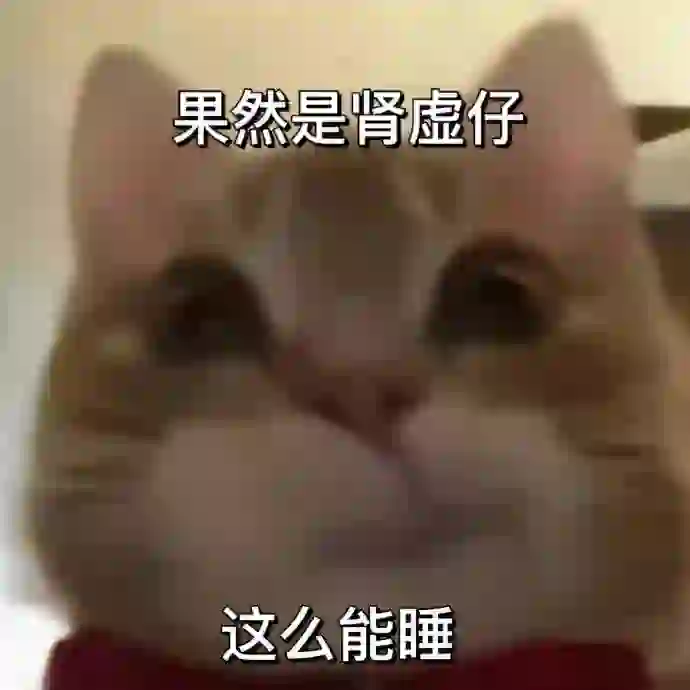 猫咪搞笑表情包第三弹