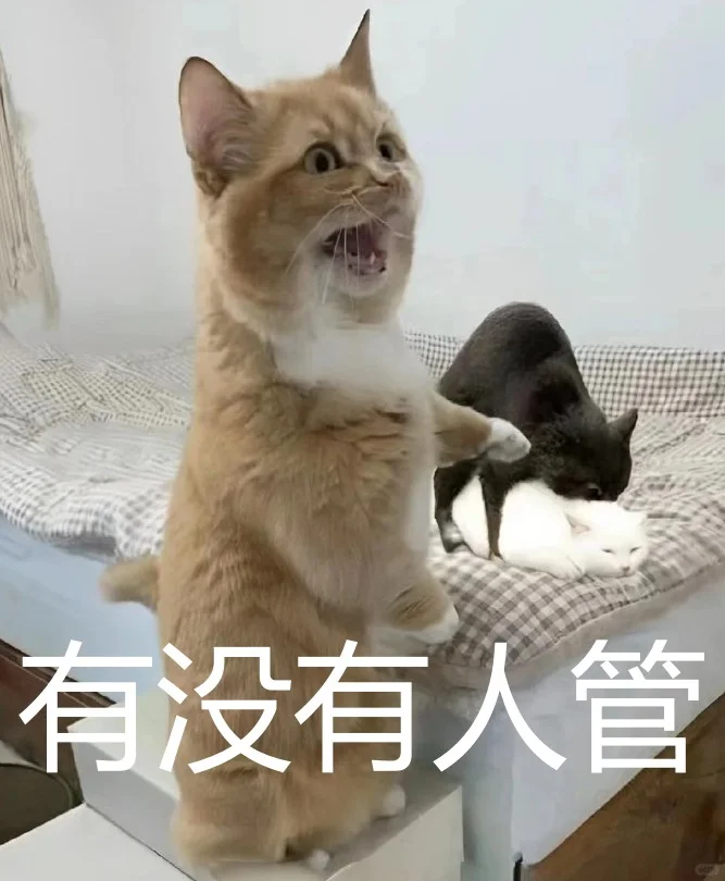 逆天猫咪表情包