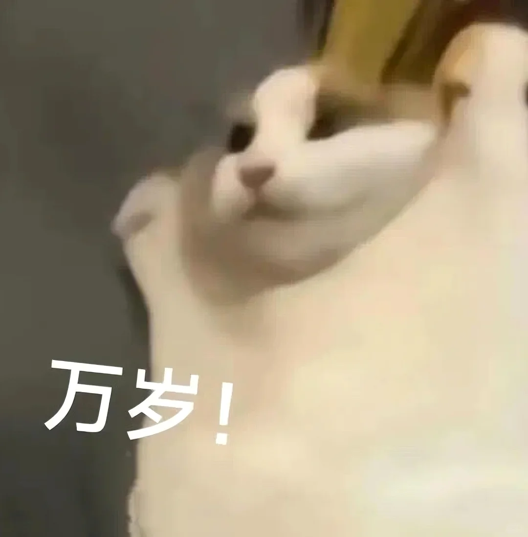 猫meme的那些情绪表达|表情包