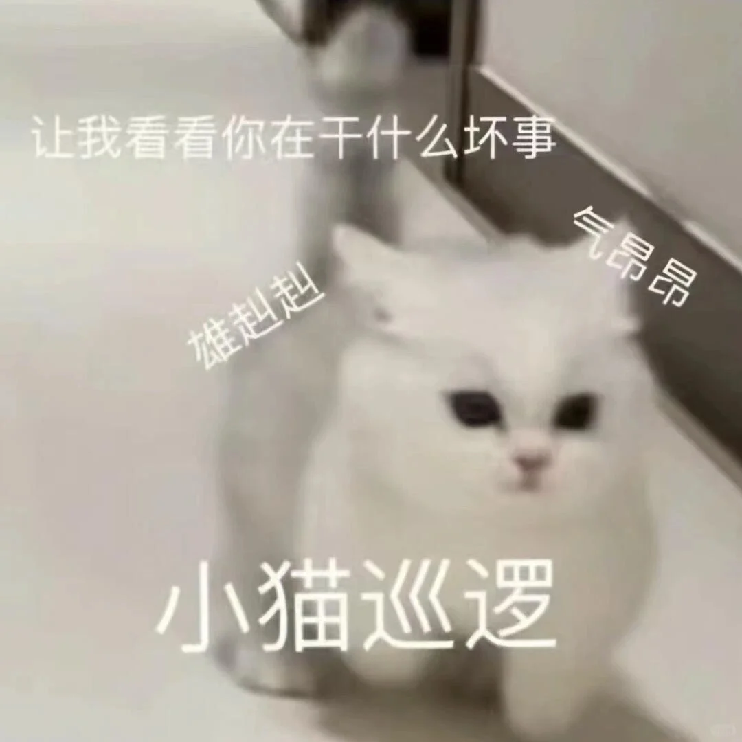 小猫表情包合集