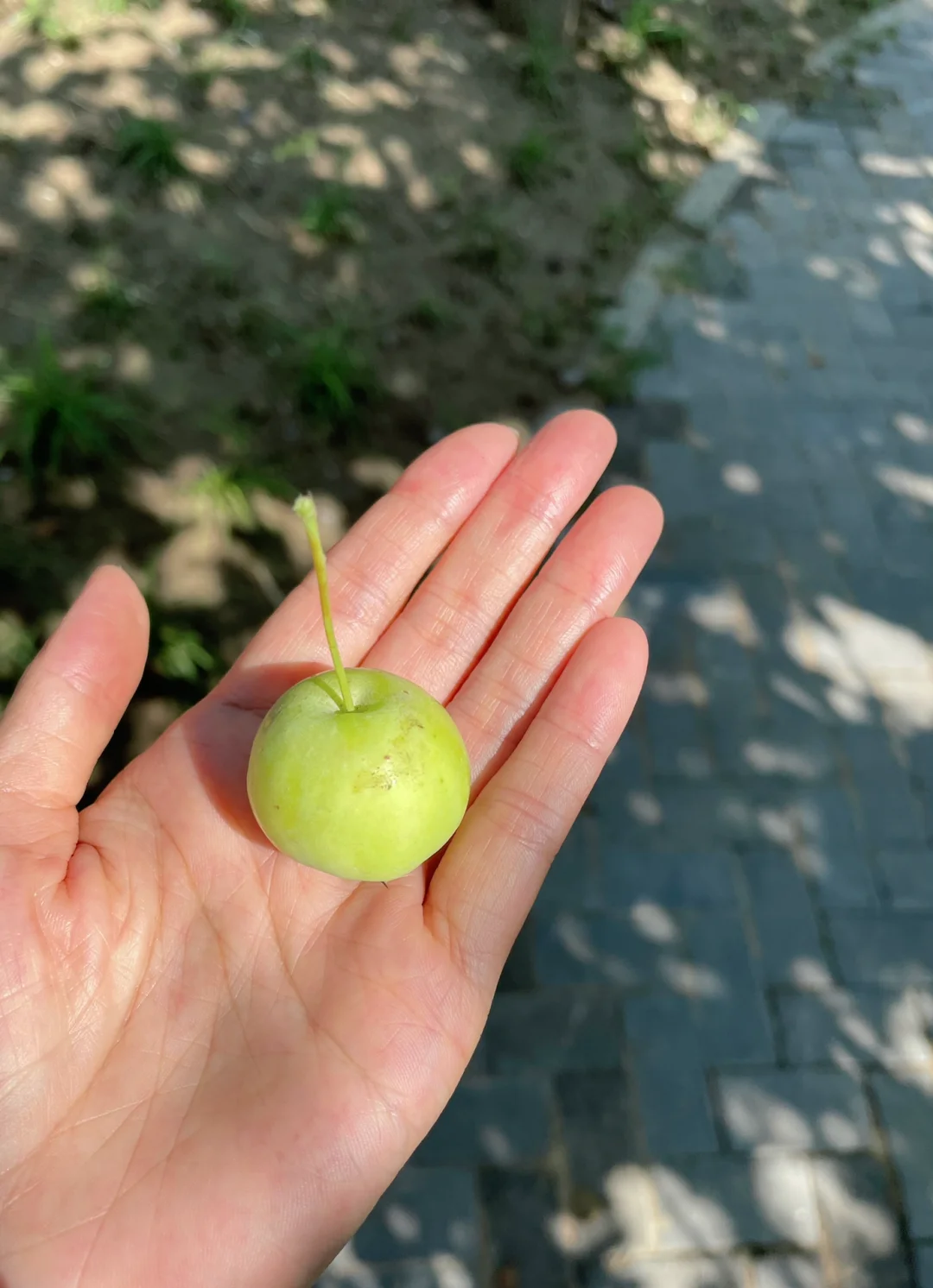 生活如此多娇，何必一地鸡毛