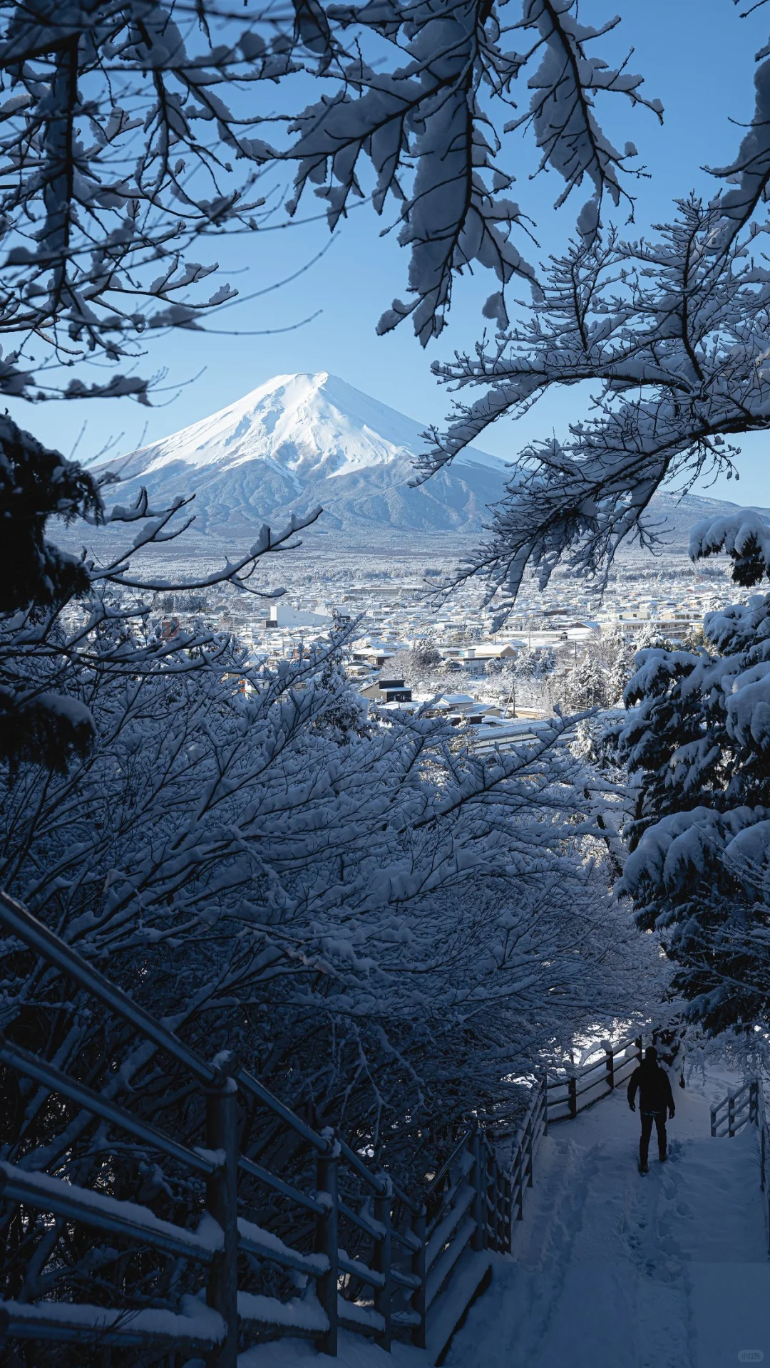 每日屏幕壁纸分享｜Four seasons in Japan?