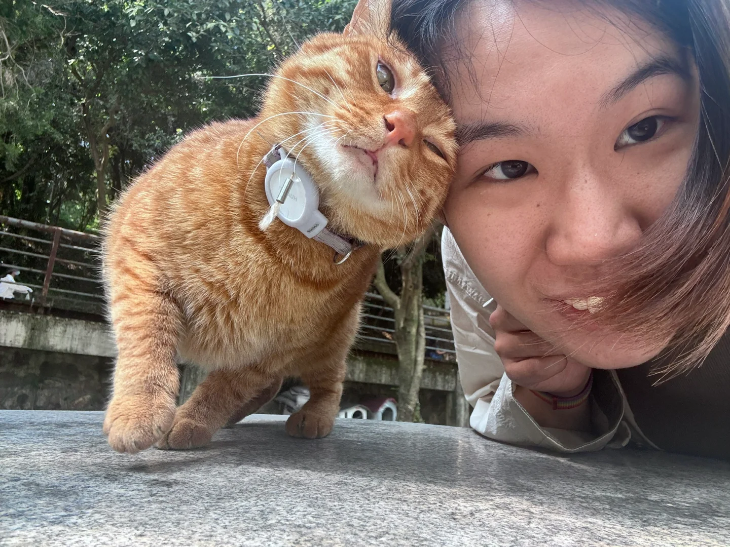 成为自然女以后小猫都来贴贴我