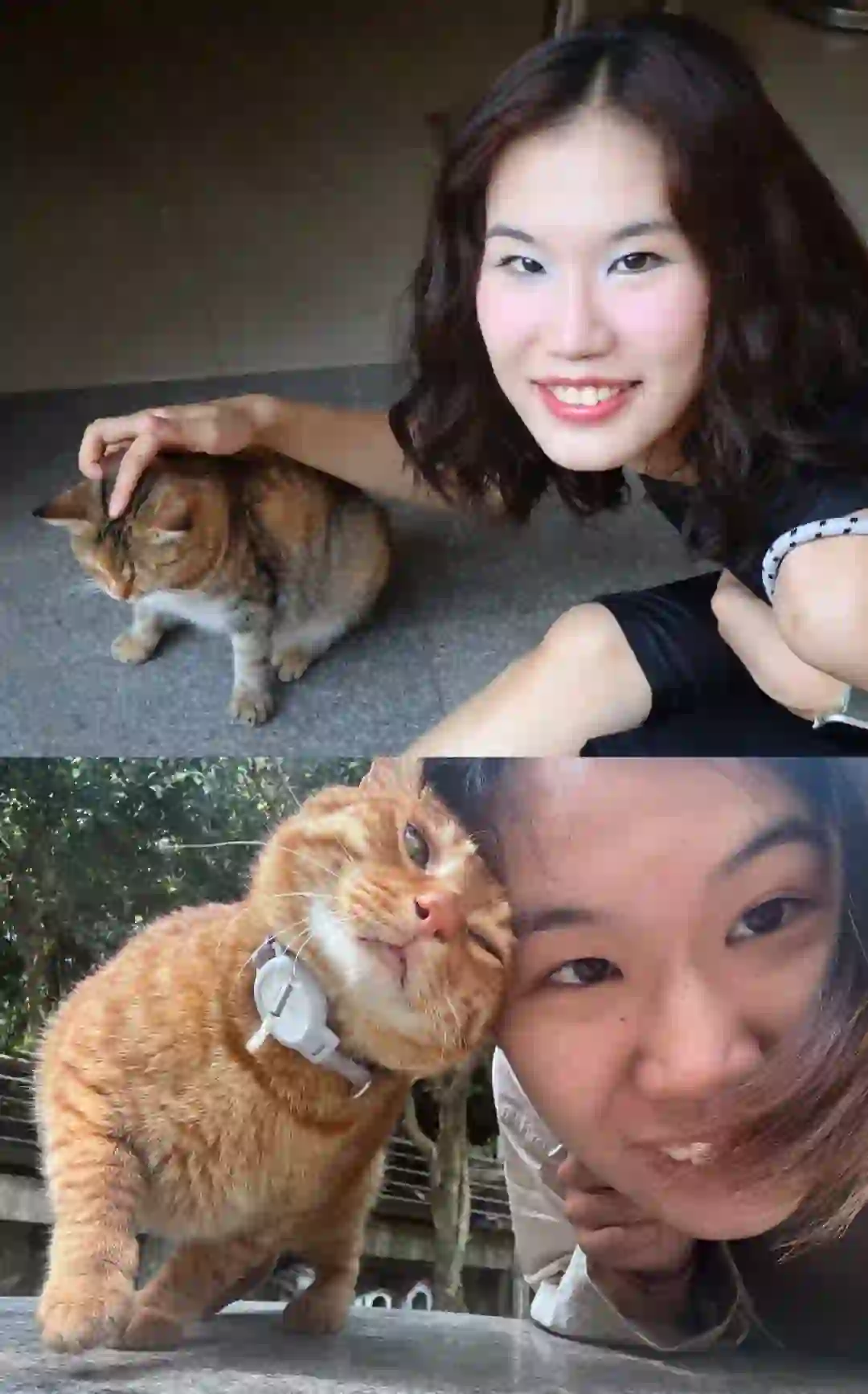 成为自然女以后小猫都来贴贴我