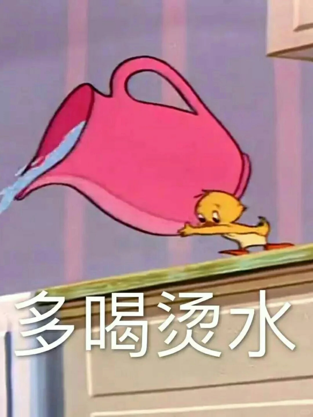 治愈系壁纸来啦！！?