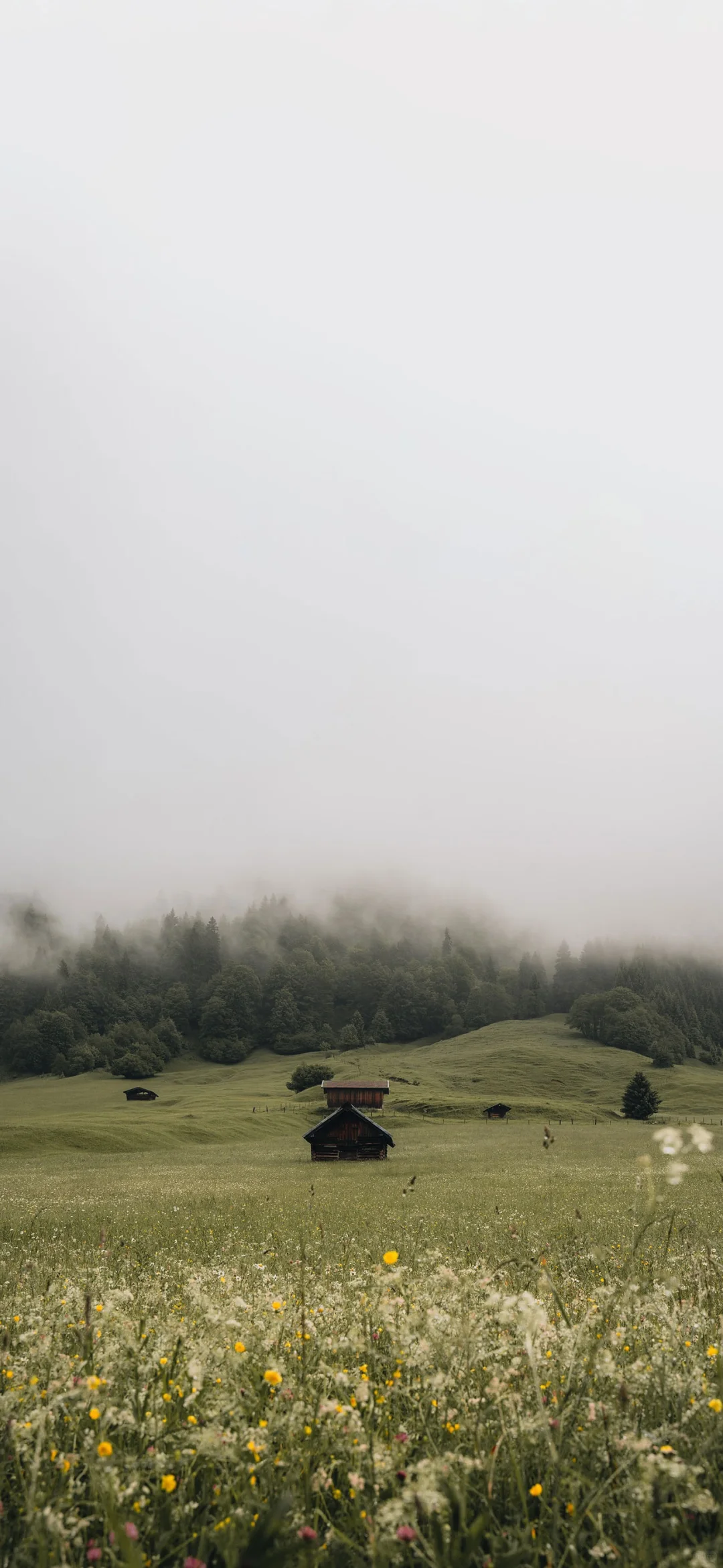 ????????? ⚪️ 治愈风景手机壁纸