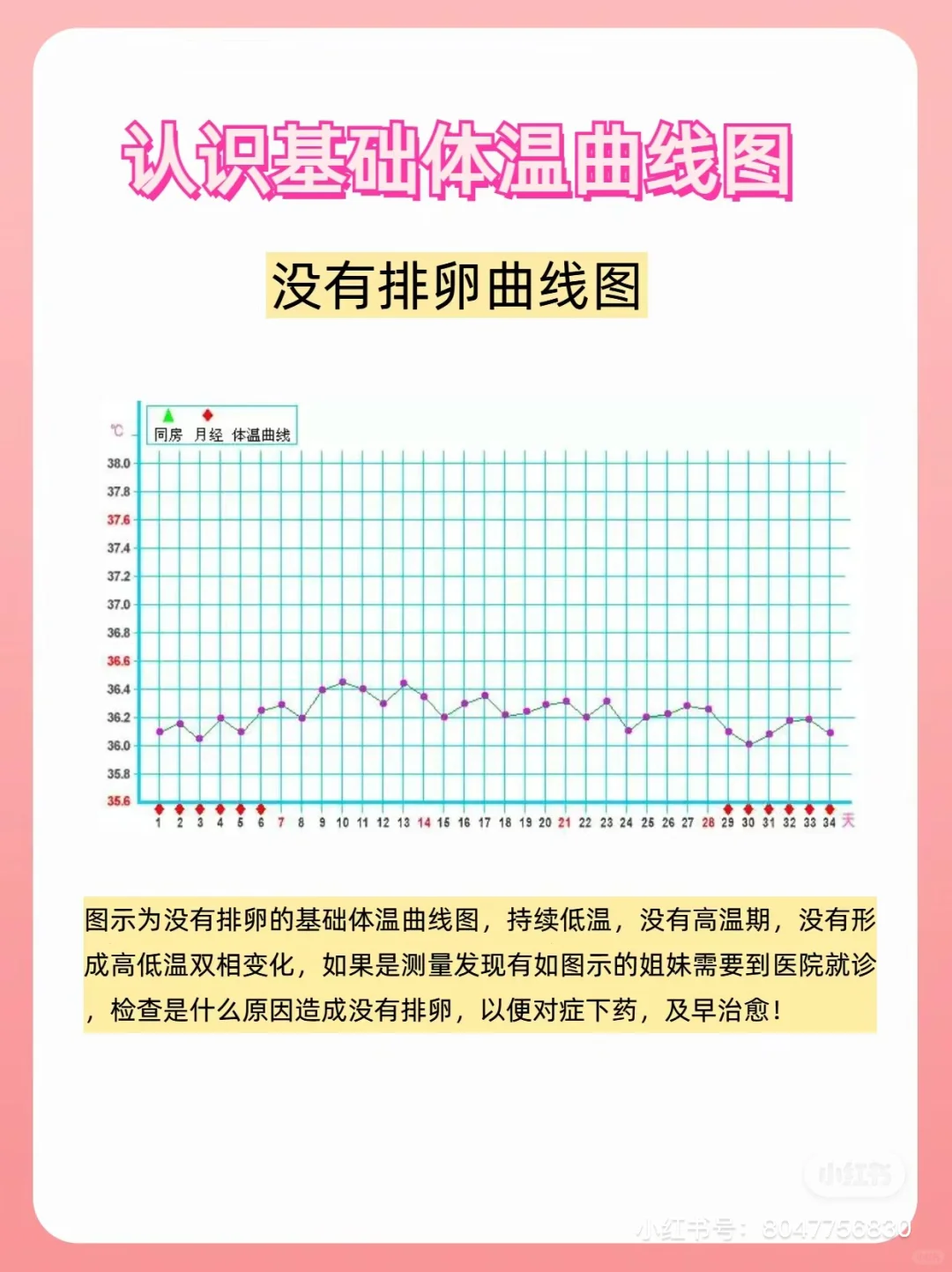 基础体温曲线图