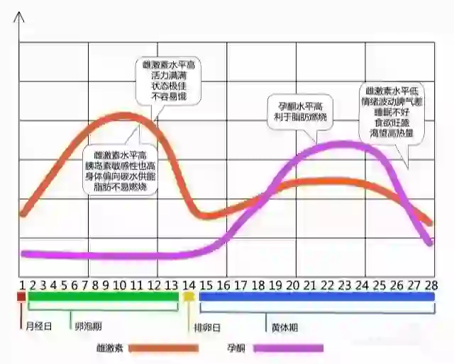 女生生理激素曲线那些事