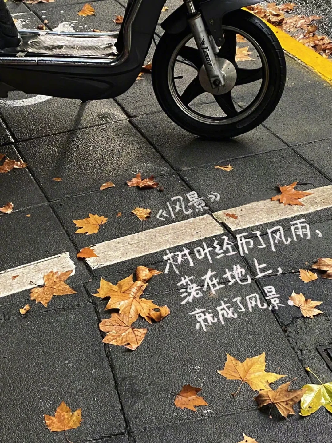 散落在人间的诗