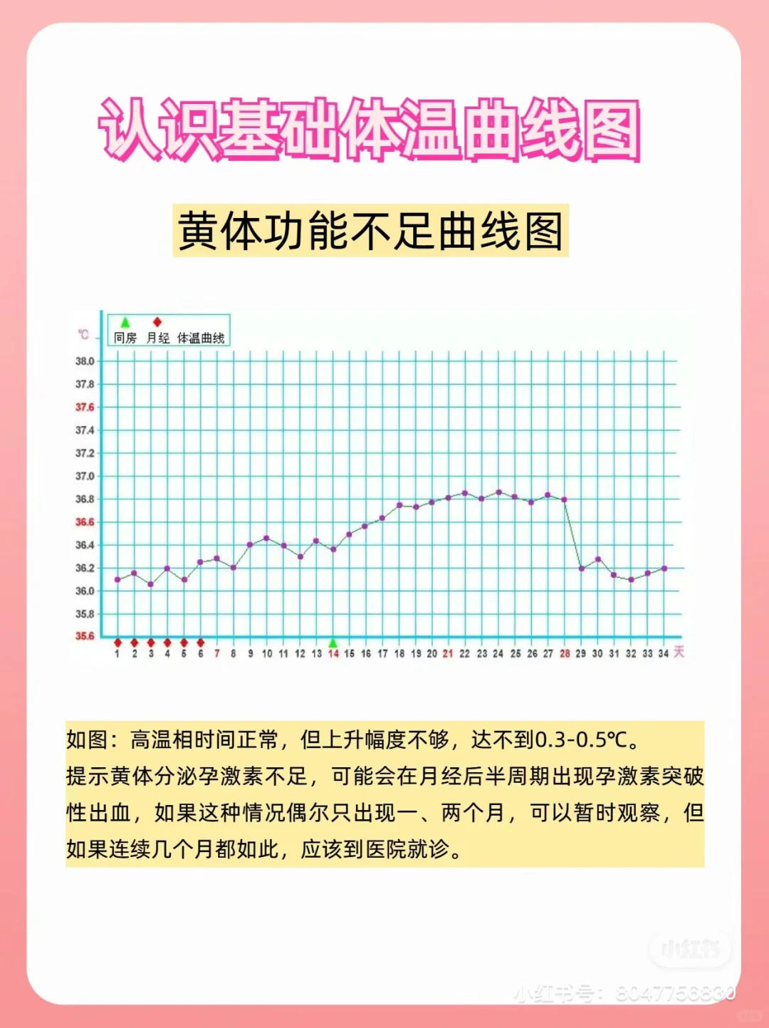 基础体温曲线图