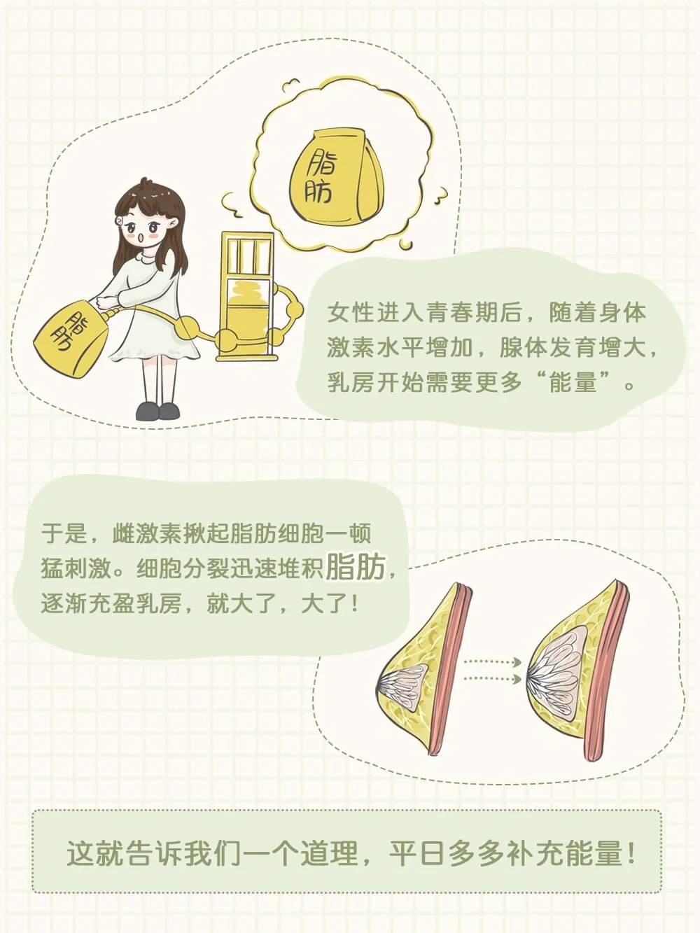 哇~~成年后胸部第二次发育在这个时候